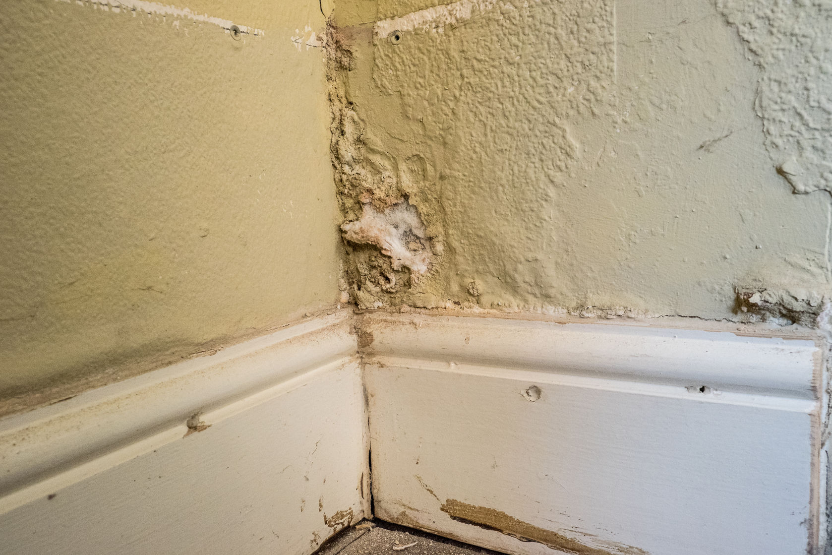 Damp Proofing in Woking and Surrey